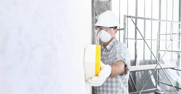 Best Mold Odor Removal Services in Perry Hall, MD